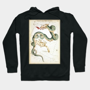 Dragon and Little Bear constellation Hoodie